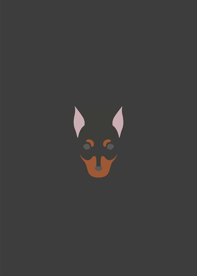 Pinscher Dog illustration