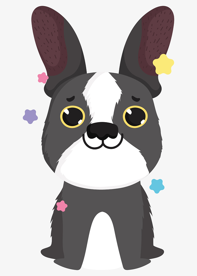 cute dog