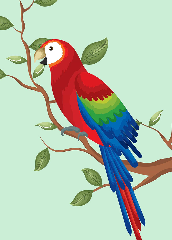 stylized parrot