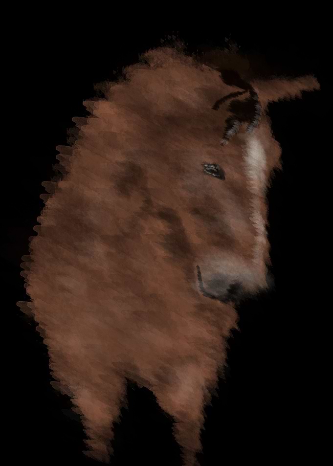 horse