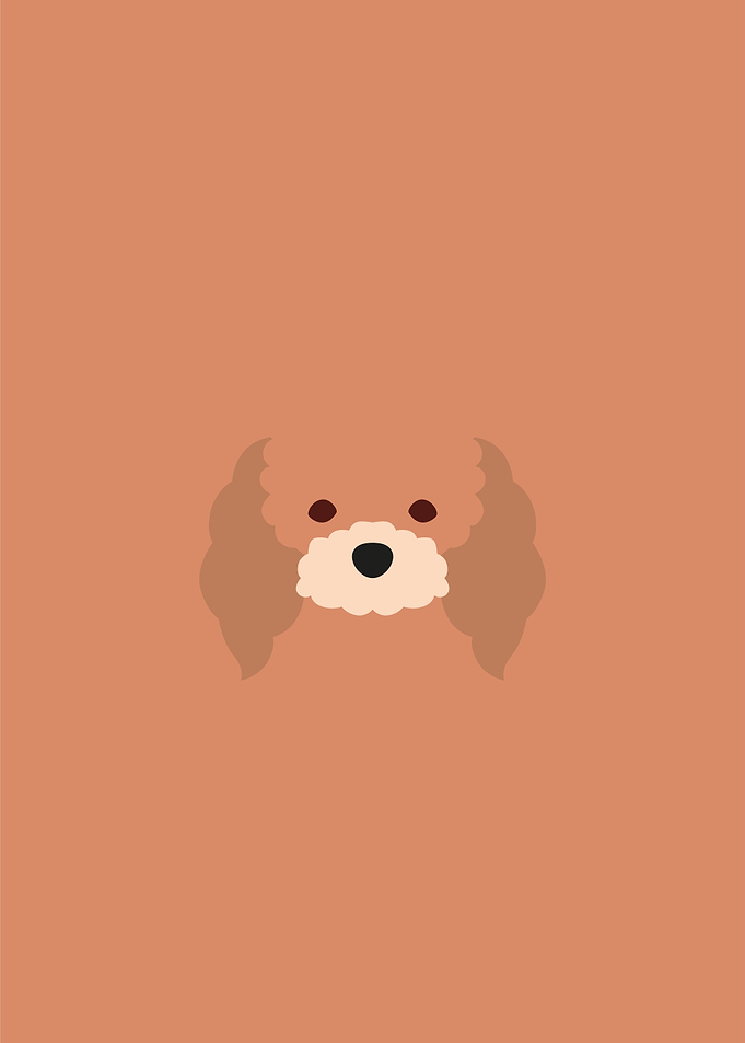 Poodle dog illustration