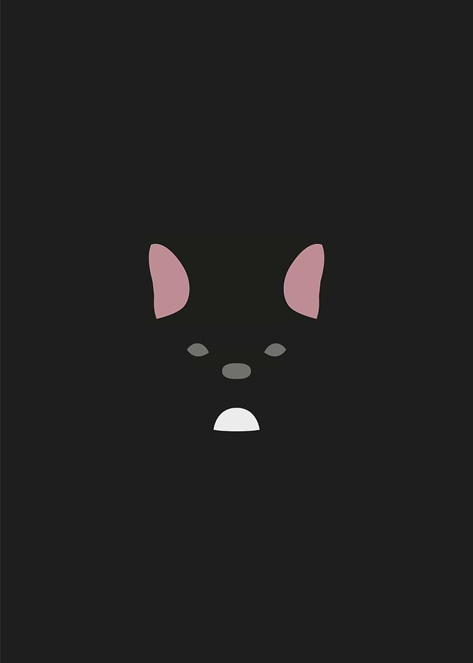 French Bulldog dog