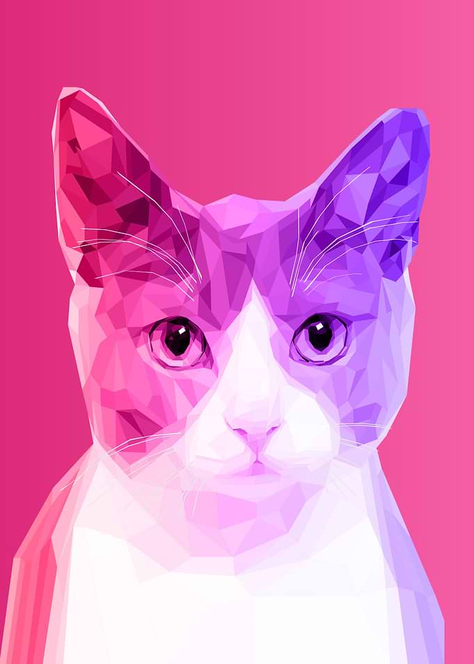 stylized cat