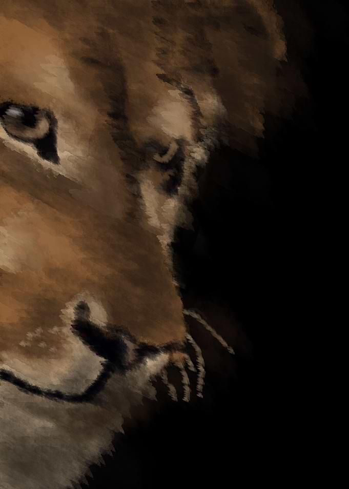 lion