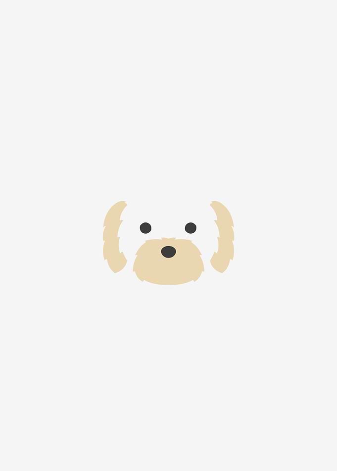 Maltese dog