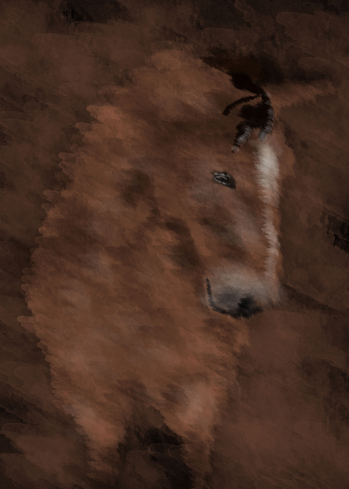 horse