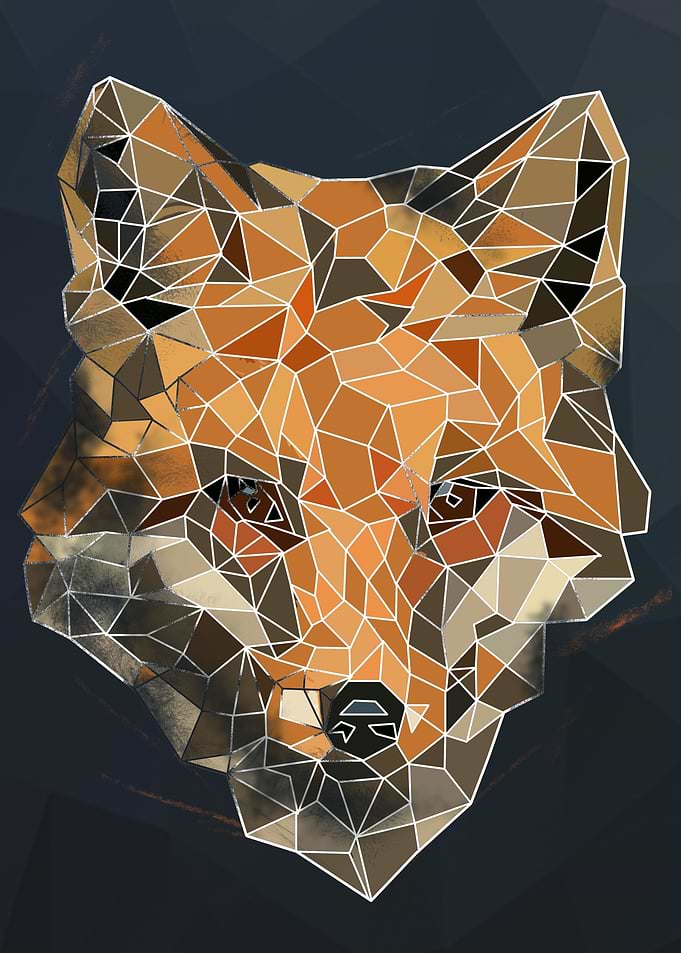 Fox Head Abstract Sketch