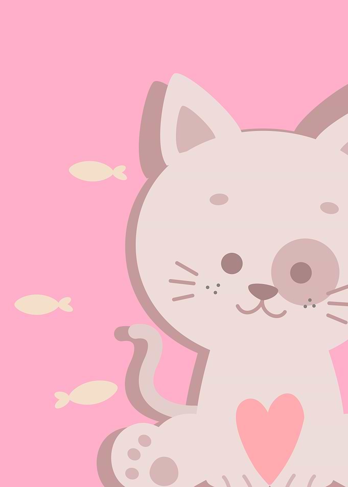 cute cat