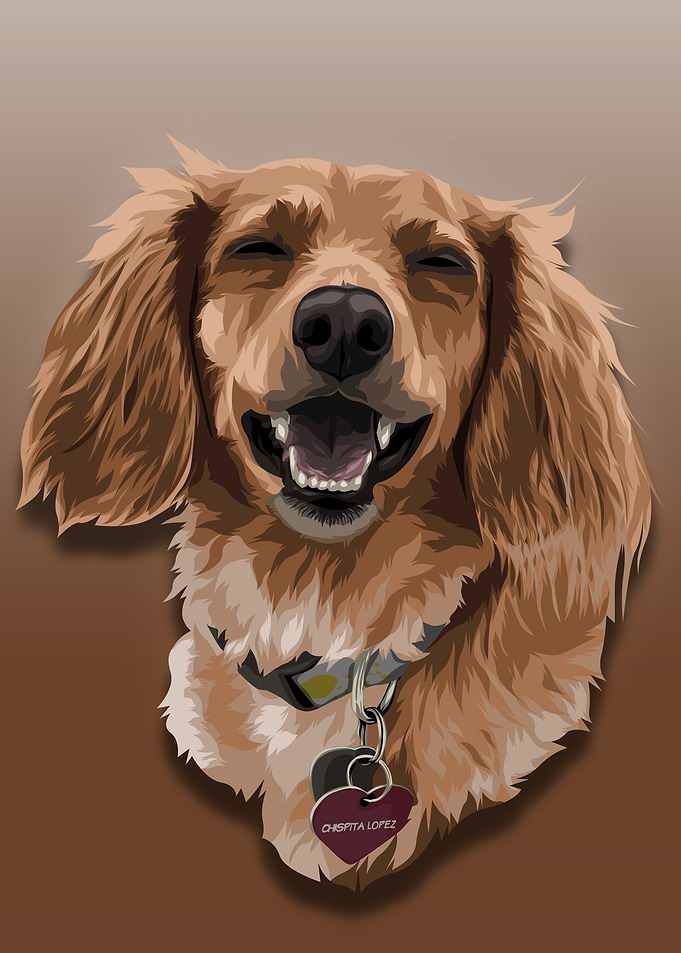 DOG SMILE