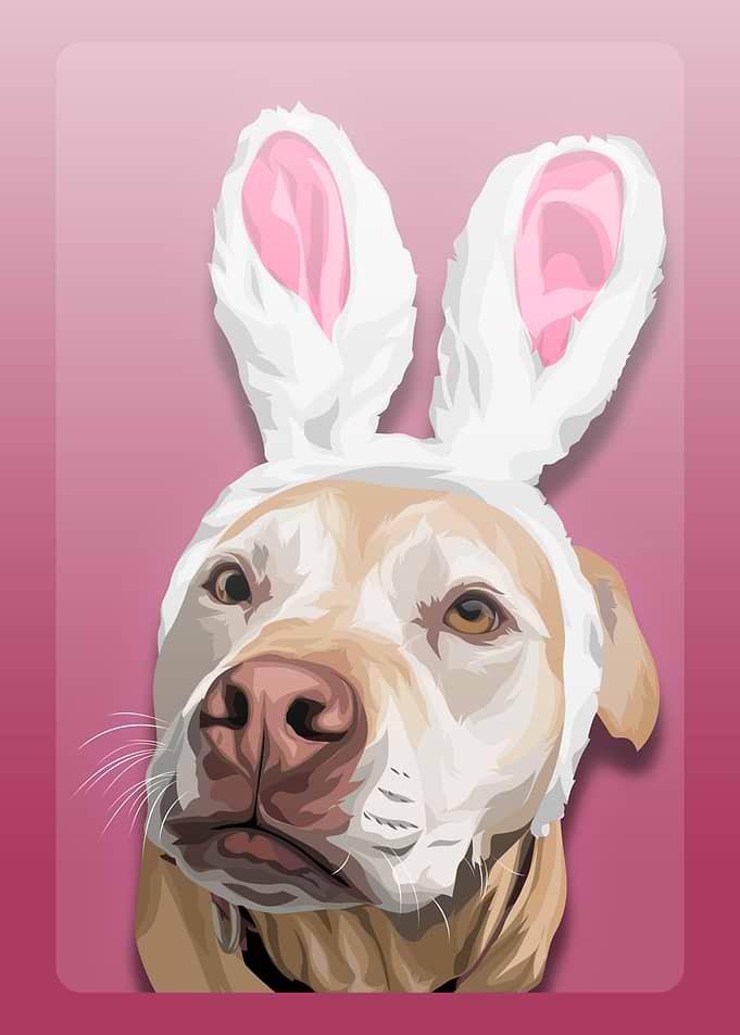 PINKY DOG