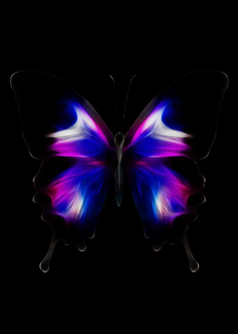 butterfly
