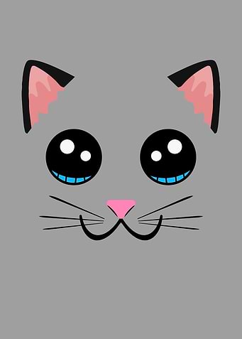 Cute Cat