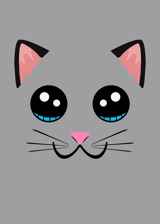 Cute Cat