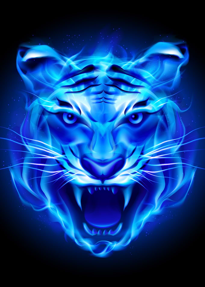blue fire tiger