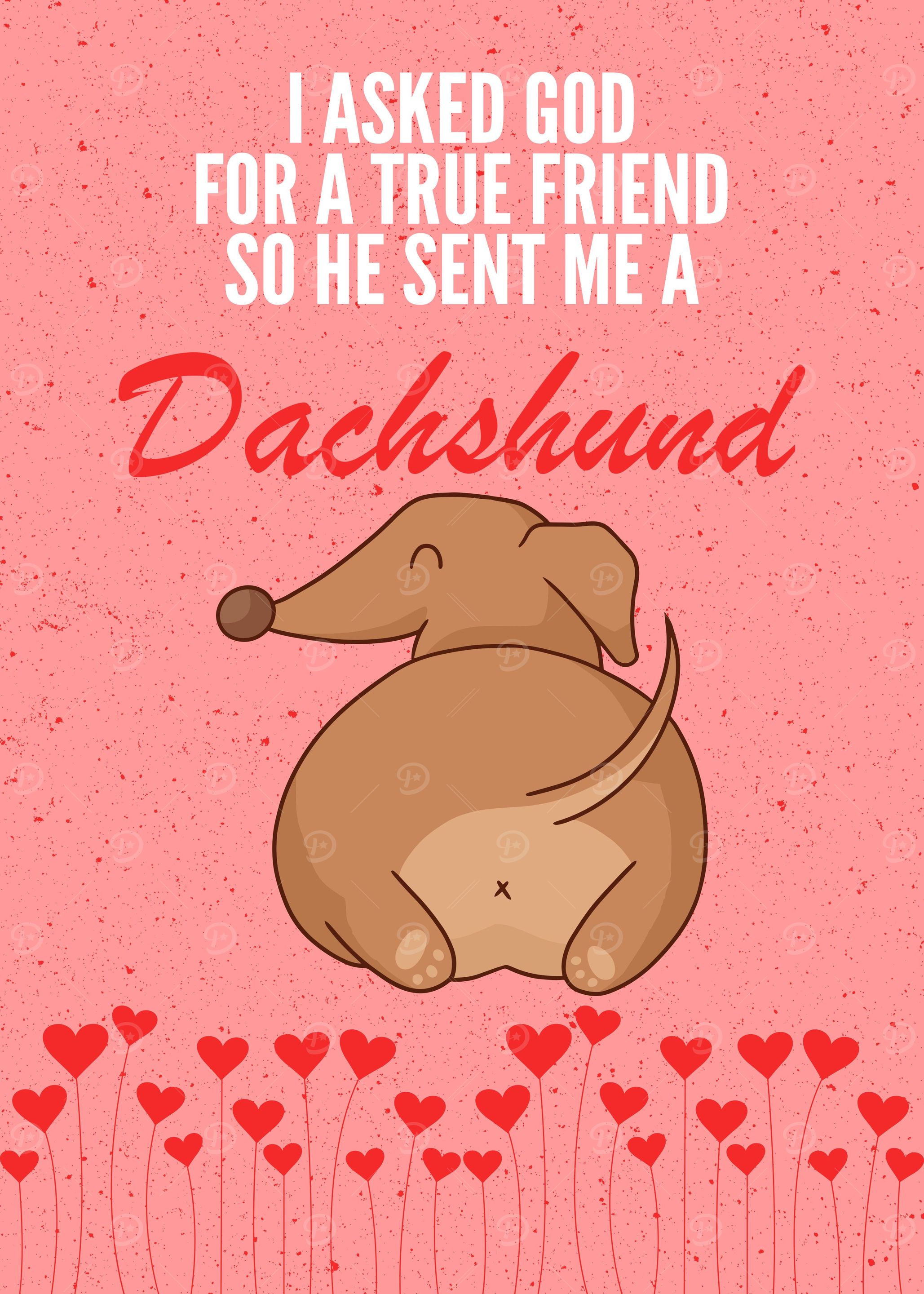 DACHSHUND WIENER DOG