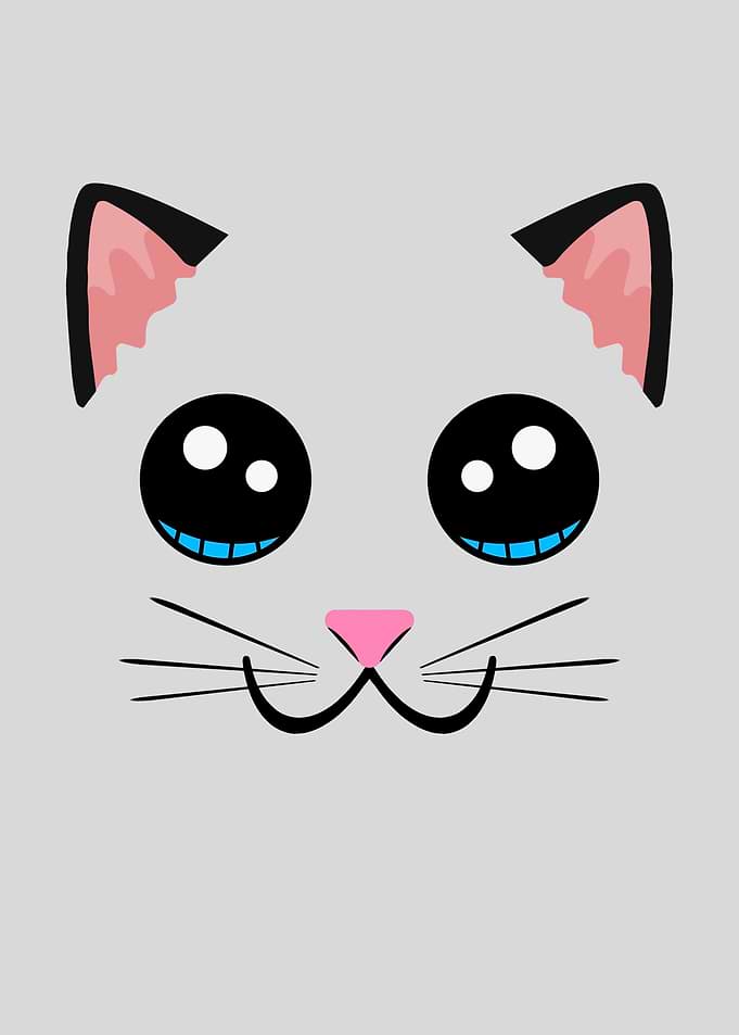 Cute Cat