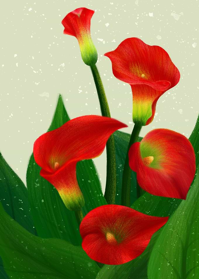 Red Flowers Floral