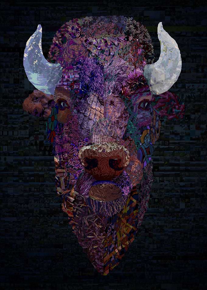 Buffalo