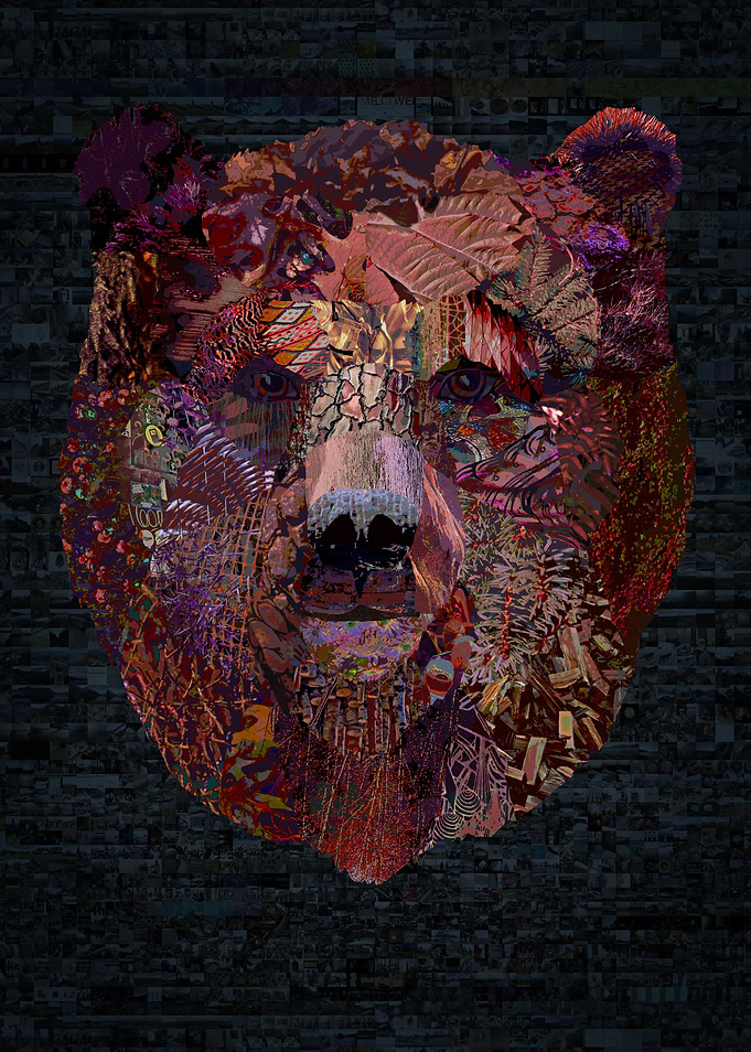 Nice Bear