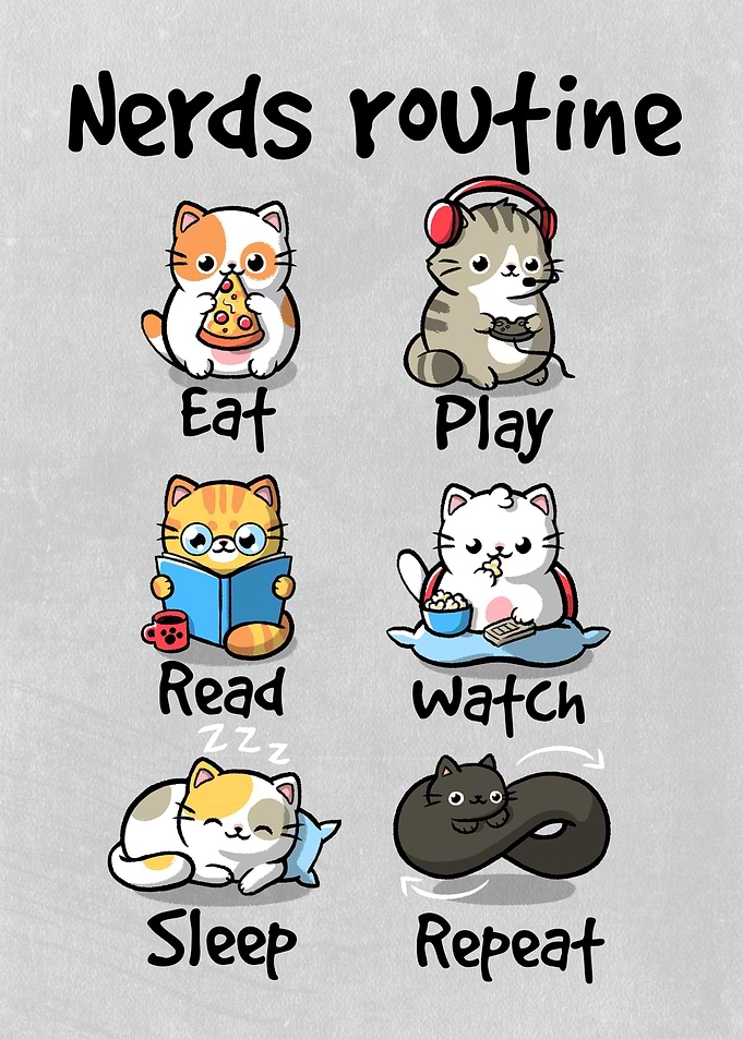 Nerds routine