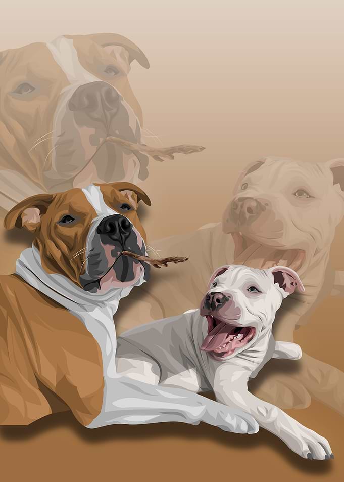 TWO DOG