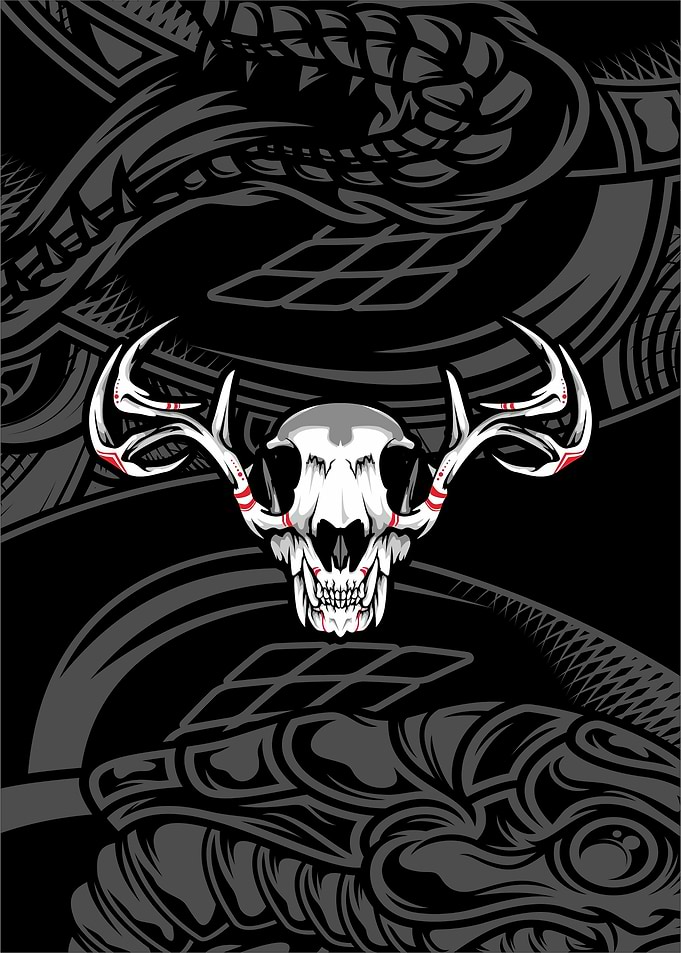 skull deer