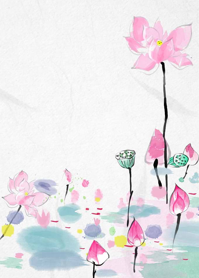 Lotus Flowers Pink Plants