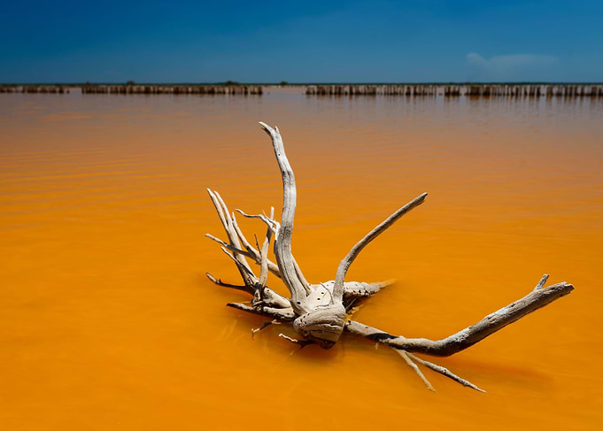 Orange Waters