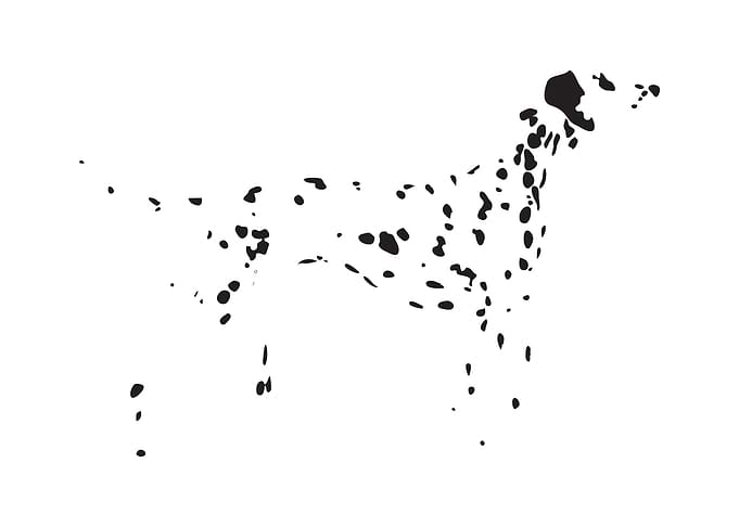 Dalmatian Spots