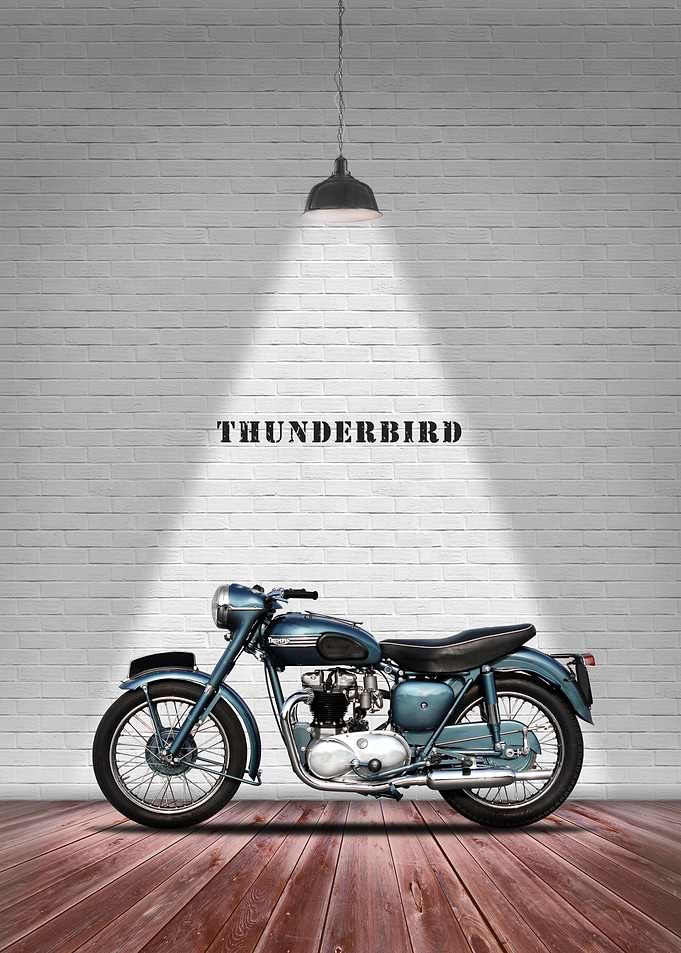 The 1955 Thunderbird