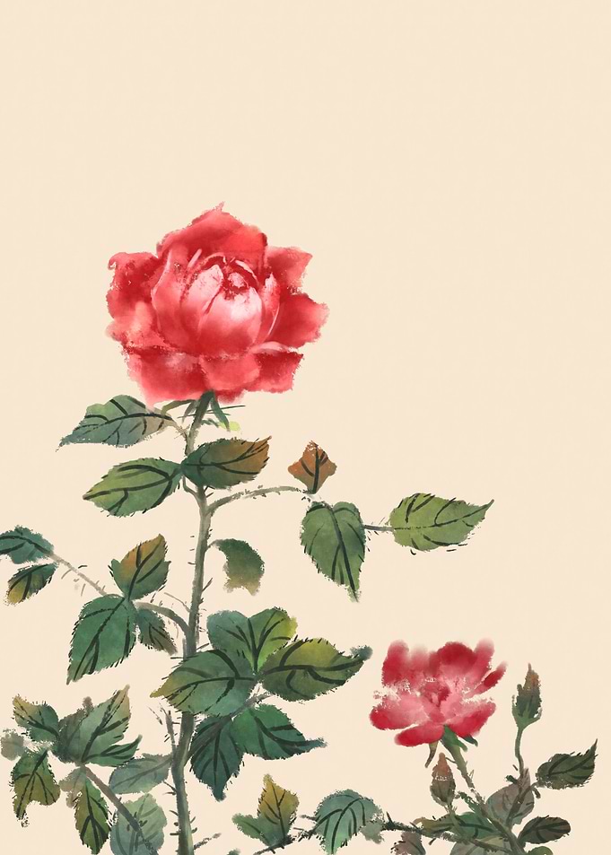Rose Flowers with leaves