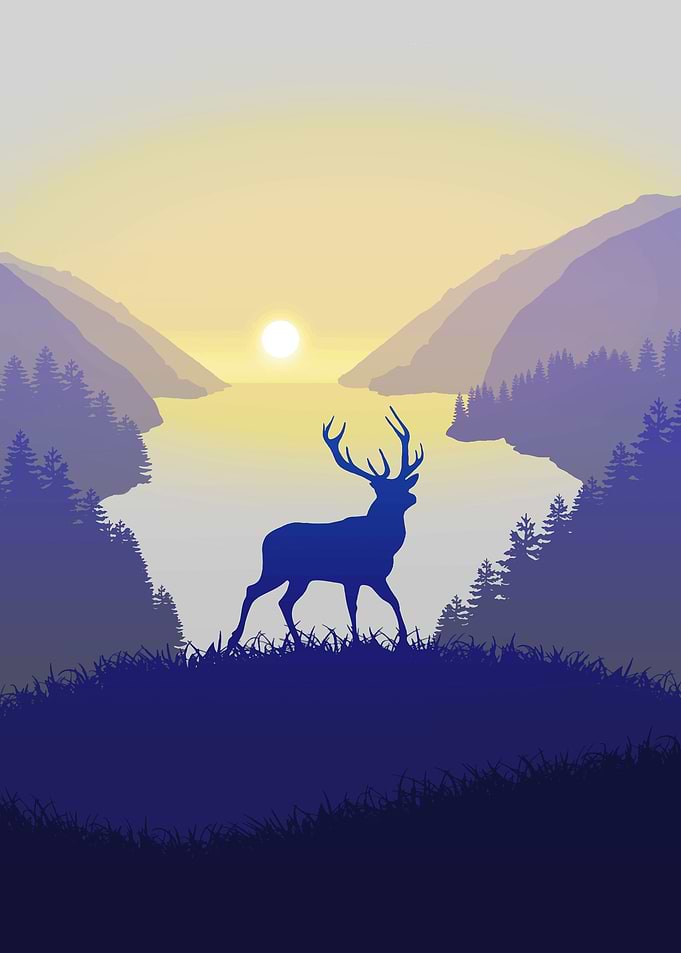 Wild Hillside Deer