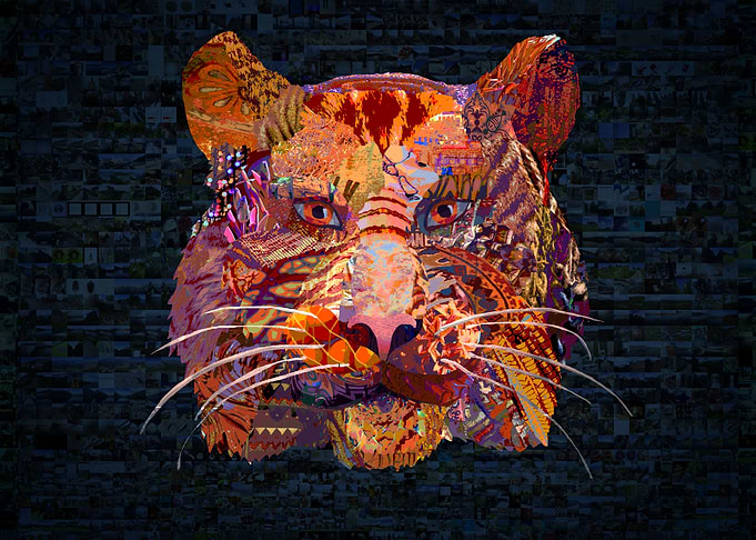 Nice Tiger