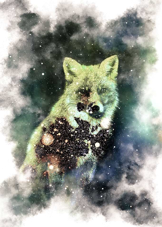 Stellar Fox