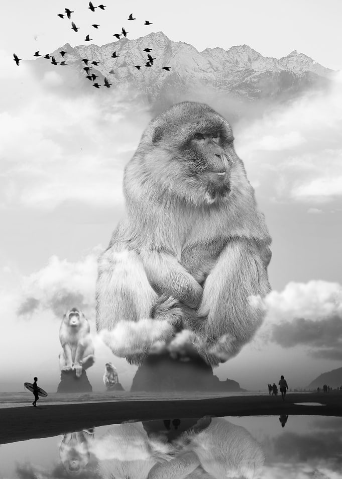 Monkey Sea Monkey Do