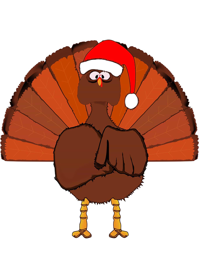 Another Christmas Turkey