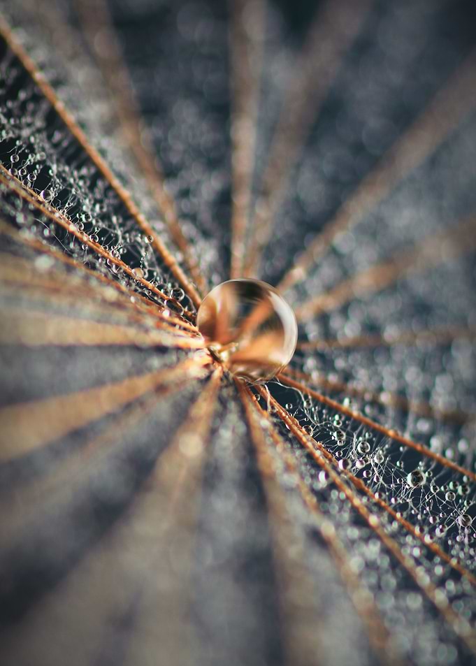 Tiny Universe