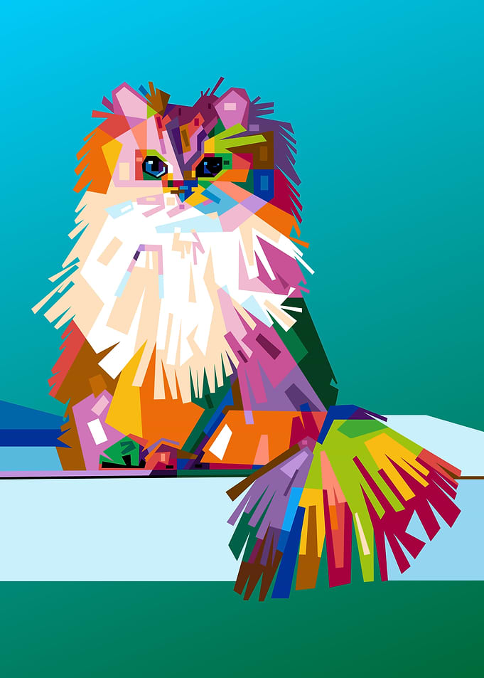 a furry cats