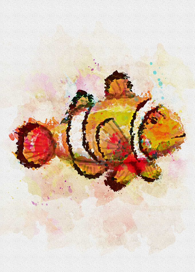 clown fish