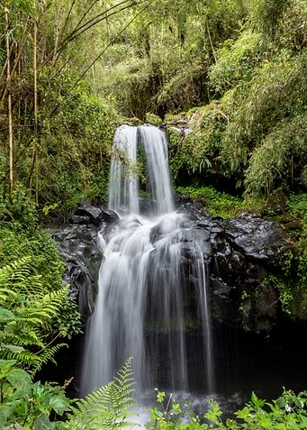 scenic waterfall