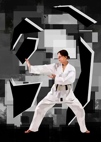 Judo low poly