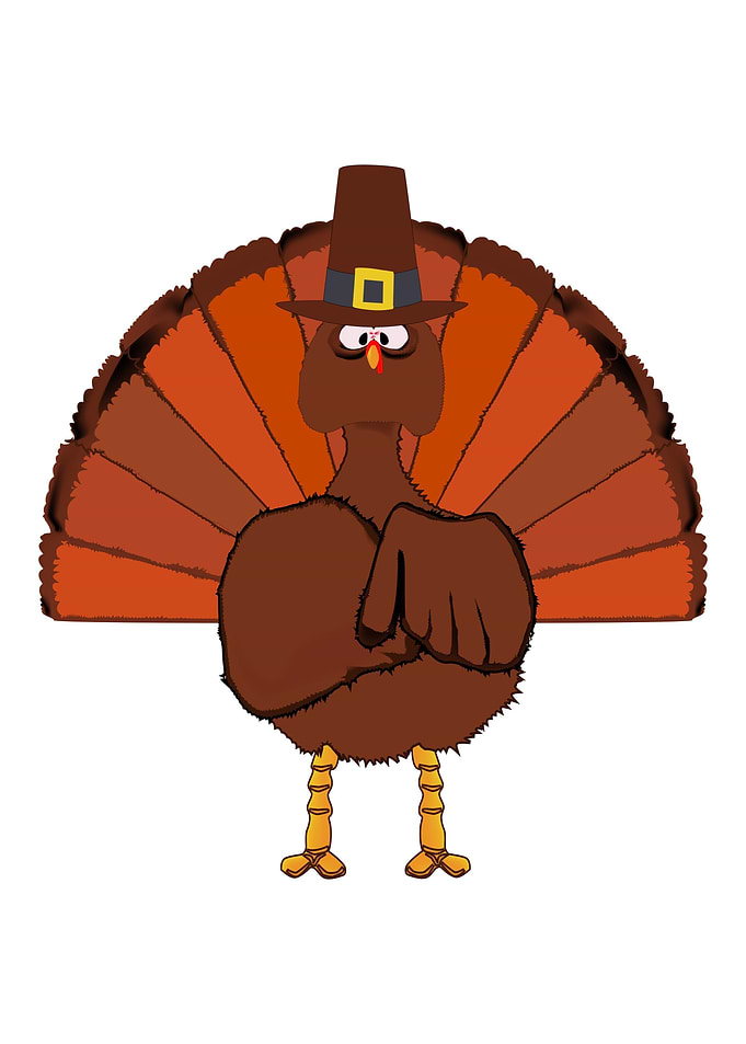 Thanksgiving Turkey