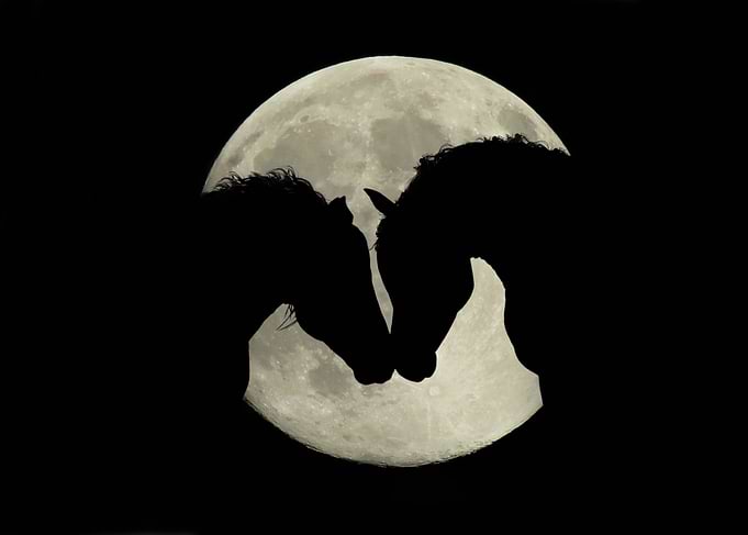Moon Lovers