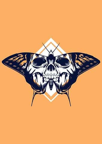Butterfly and Skull