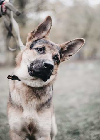 Latest drop