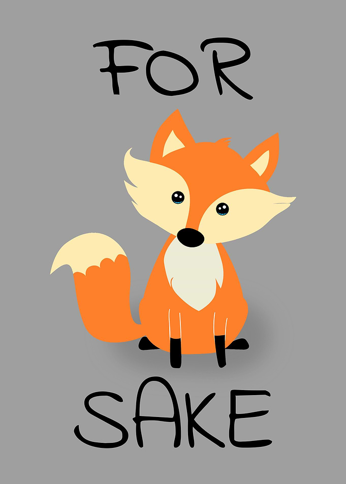 Cute Funny Orange Fox