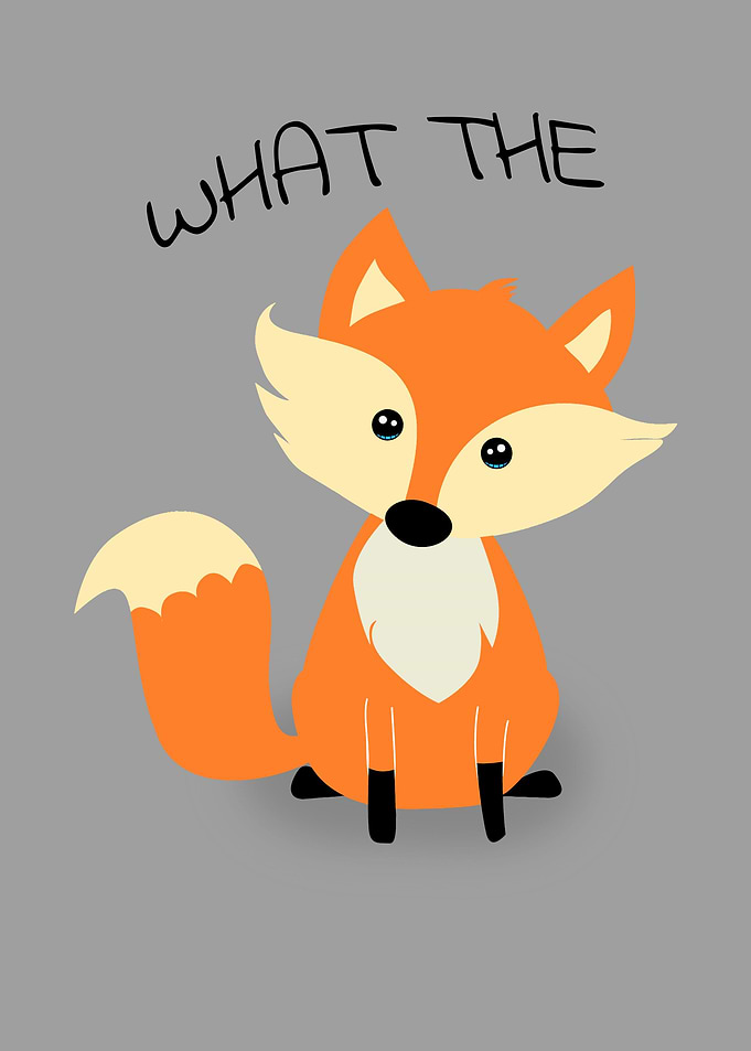 Cute Funny Orange Fox
