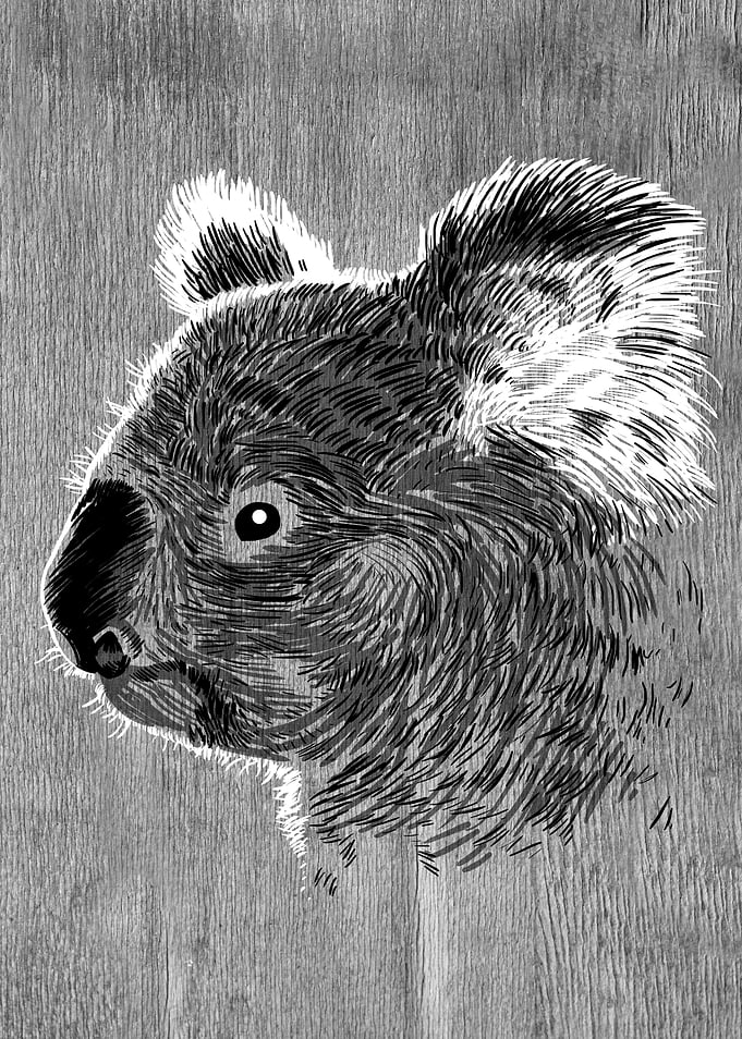 wood koala