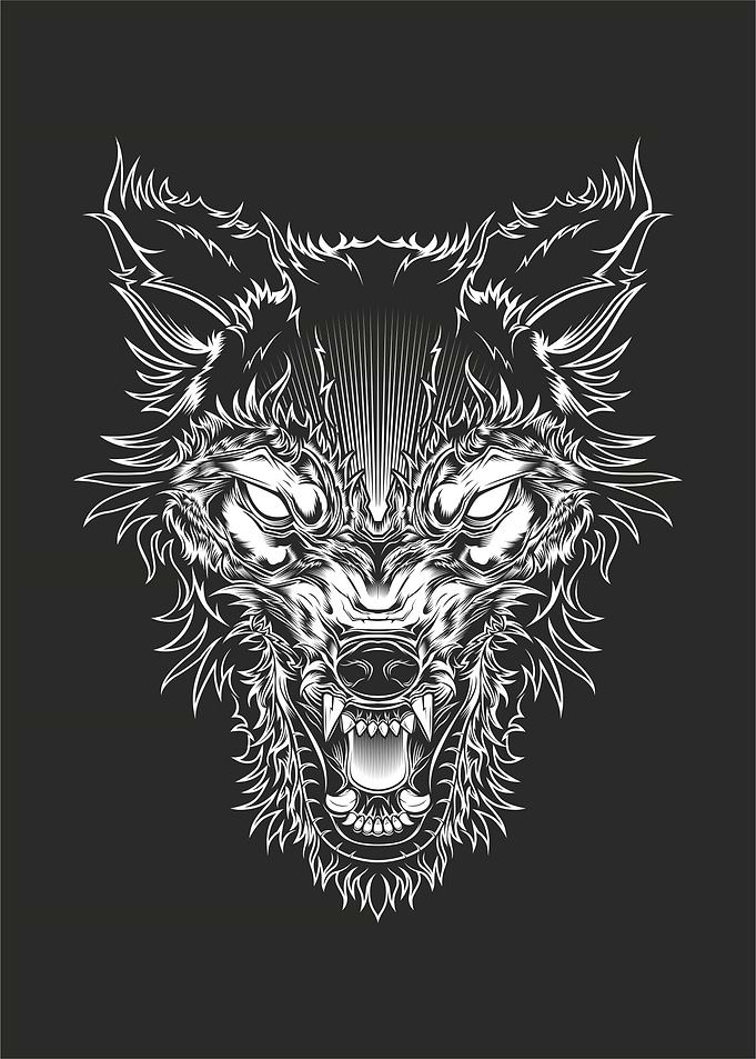 head ferocious wolf