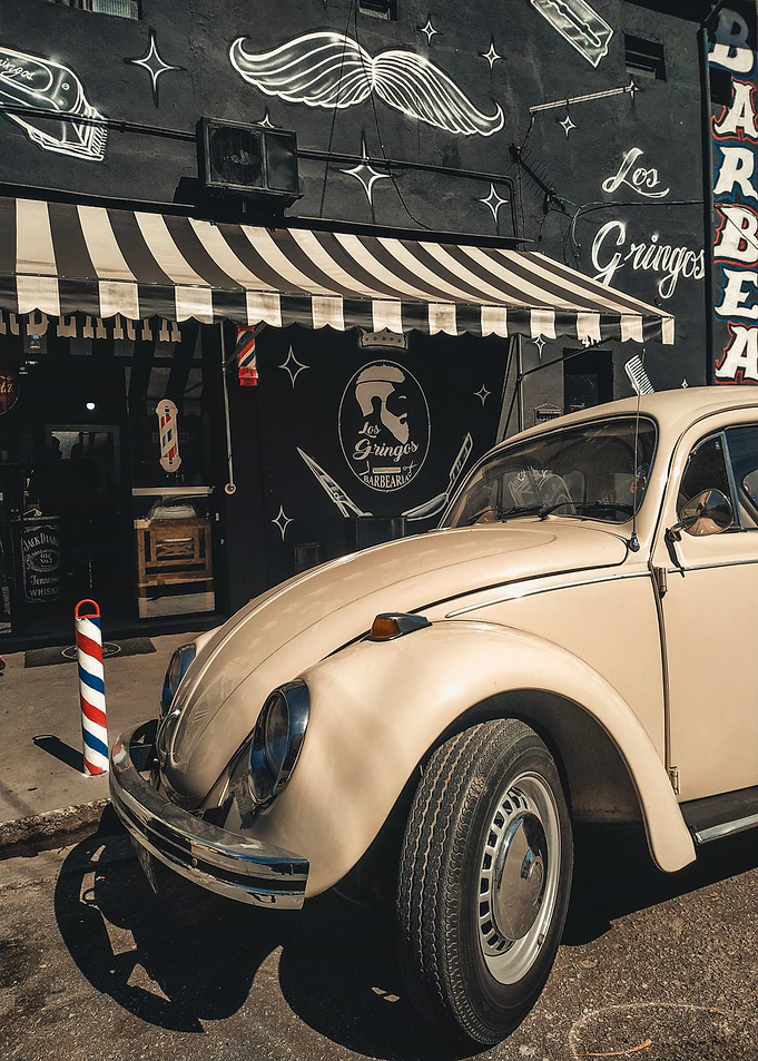 automobile beetle